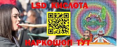 сатива Краснокаменск
