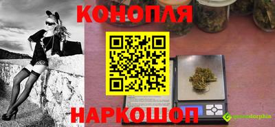 сатива Краснокаменск