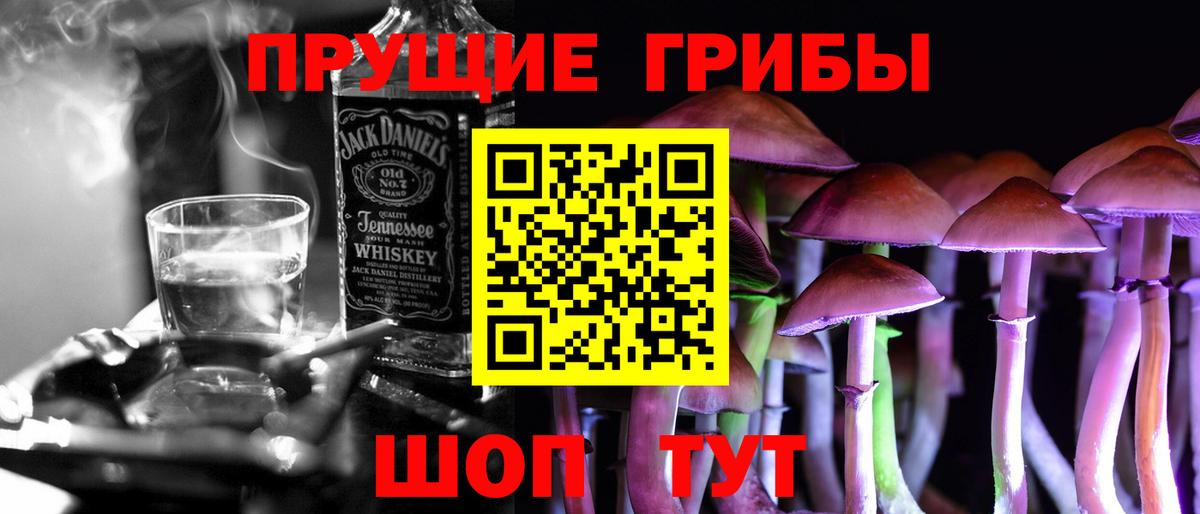 Всеволожск  Псилоцибиновые грибы ЛСД  Галлюциногенные грибы Cubensis  Вход с VPN 